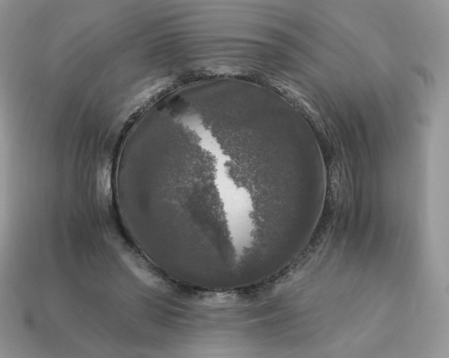 X0000115060398200911091451