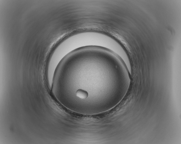 X0000115060399200911091451