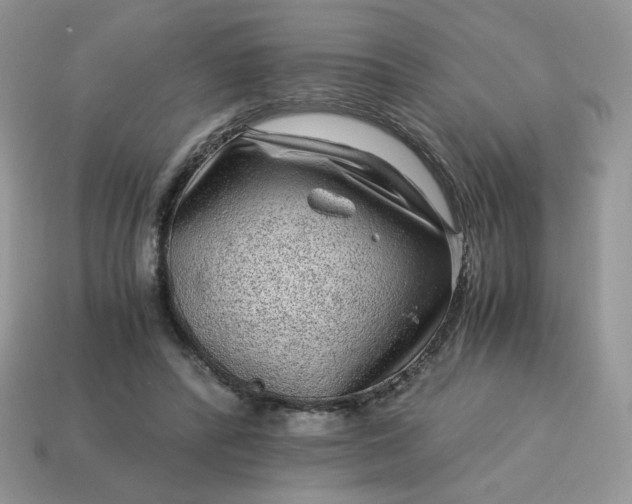 X0000115060400200911091451