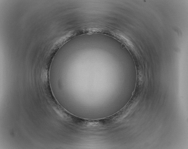 X0000115060401200911091451