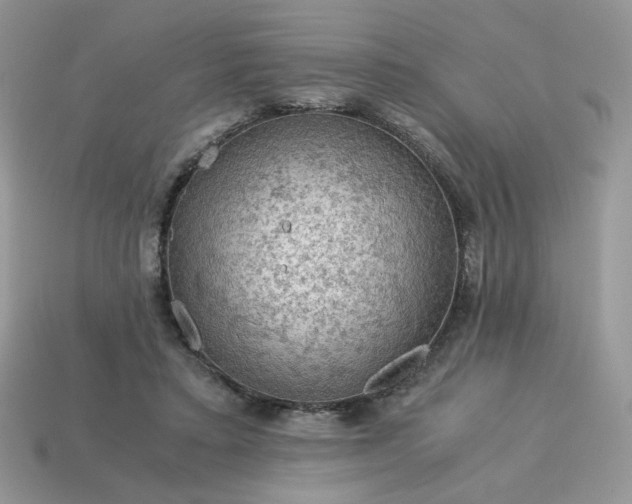 X0000115060403200911091450