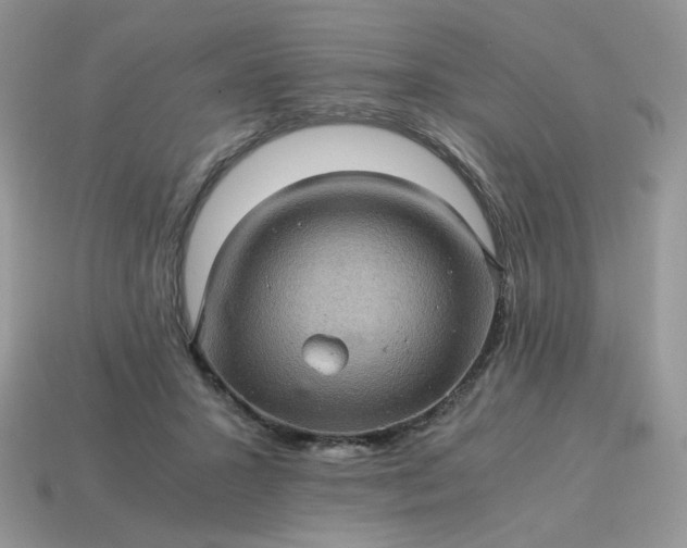 X0000115060407200911091450