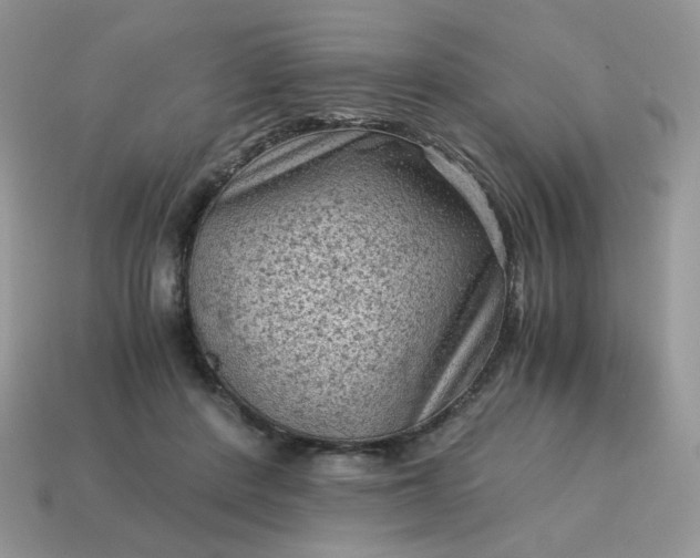 X0000115060408200911091450