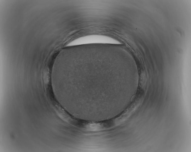 X0000115060413200911091450