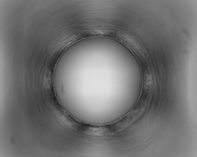 X0000115060414200911091450