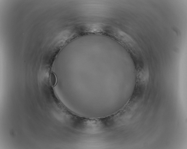 X0000115060415200911091450