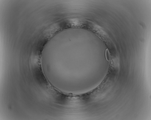 X0000115060419200911091450