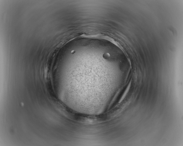 X0000115060420200911091450