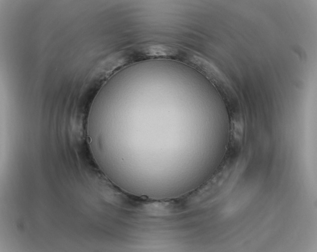 X0000115060422200911091450