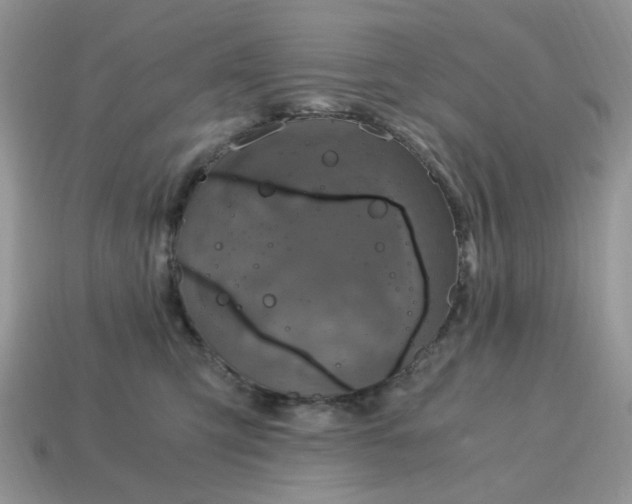 X0000115060423200911091450