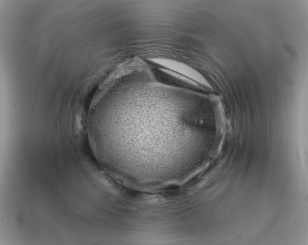 X0000115060424200911091450