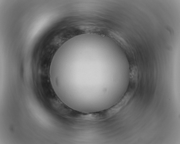X0000115060430200911091450