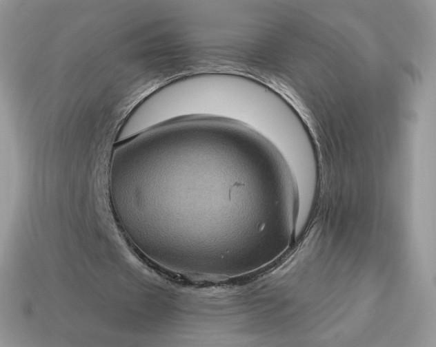 X0000115060433200911091449