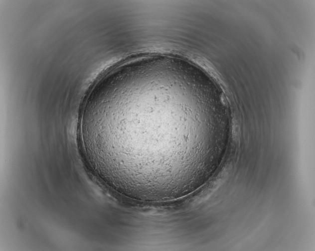 X0000115060434200911091449