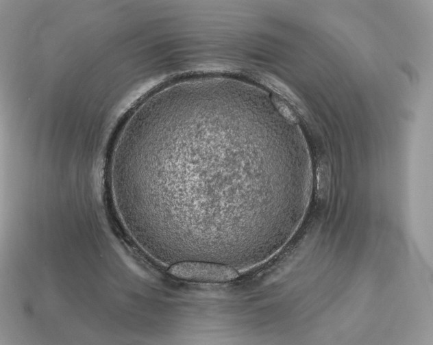X0000115060436200911091450