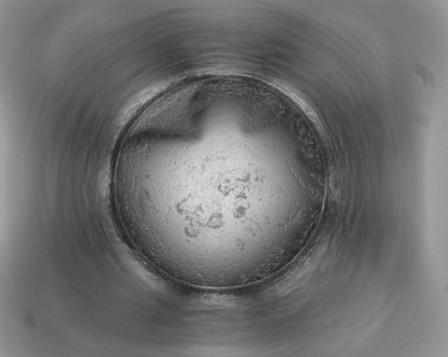 X0000115060437200911091450