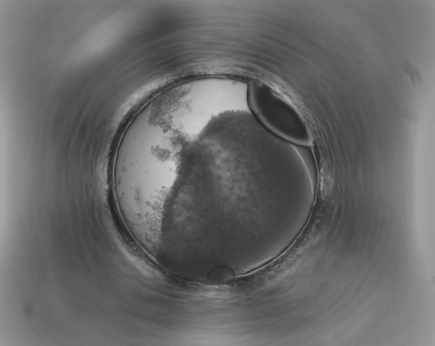 X0000115060438200911091450