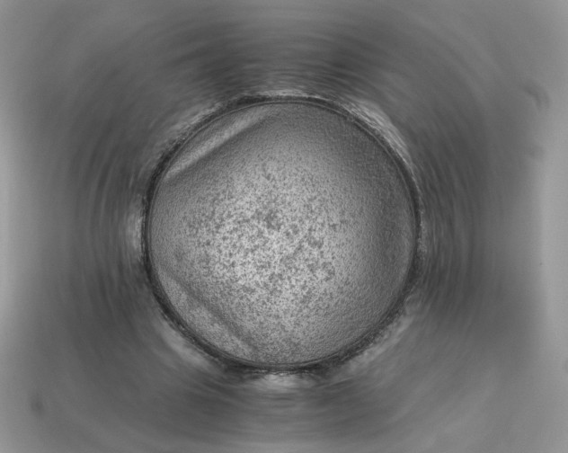 X0000115060441200911091450