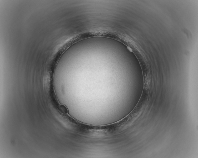 X0000115060448200911091450