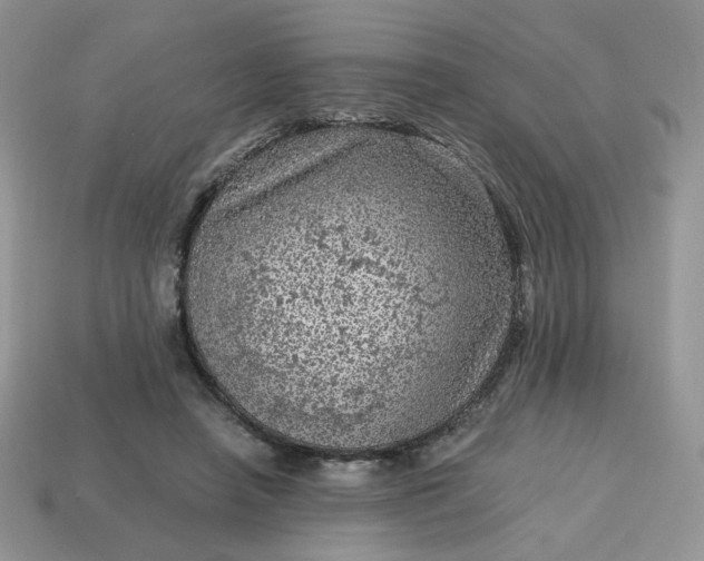 X0000115060450200911091450