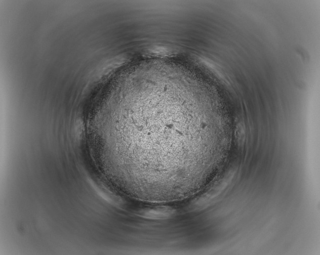 X0000115060459200911091450
