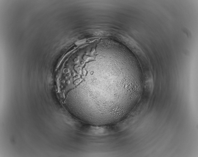 X0000115060469200911091450