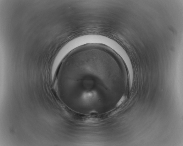 X0000115060471200911091450