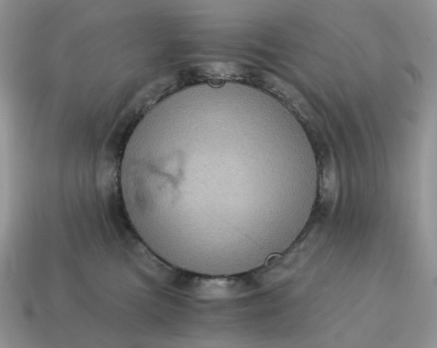 X0000115060473200911091450