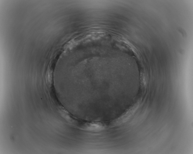 X0000115060475200911091450