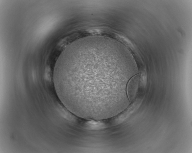 X0000115060477200911091450