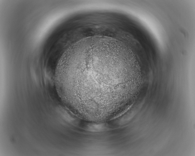 X0000115060479200911091450
