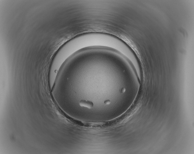 X0000115060481200911091449