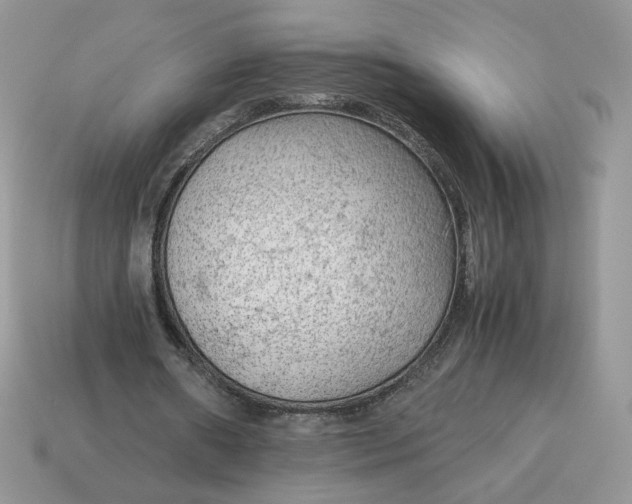 X0000115060482200911091449