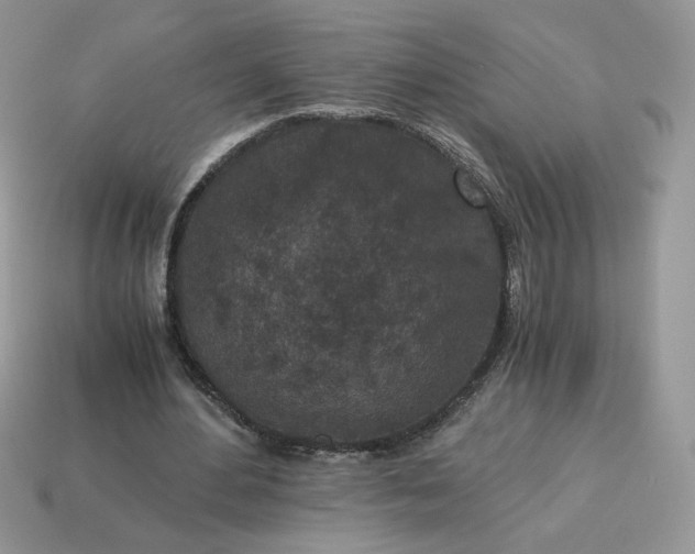 X0000115060484200911091449