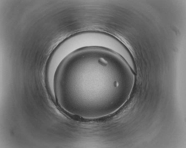 X0000115060485200911091449