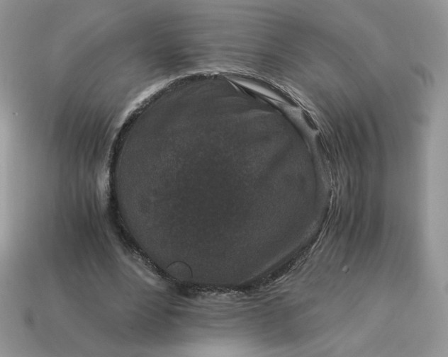 X0000115060488200911091449