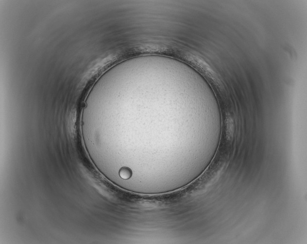 X0000115060490200911091449