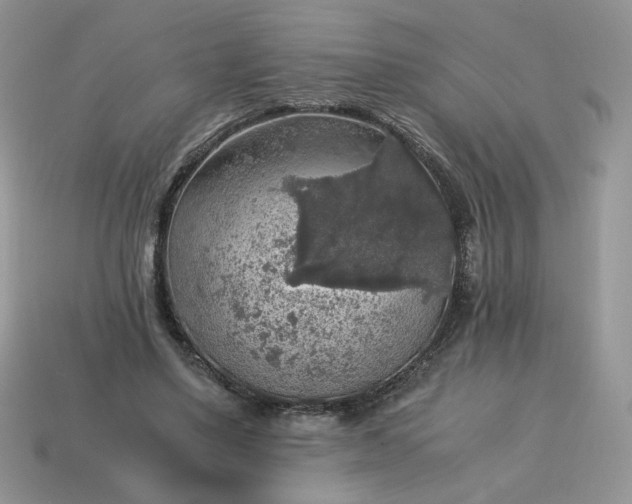 X0000115060491200911091449