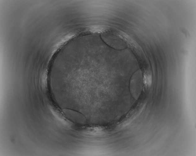X0000115060492200911091449