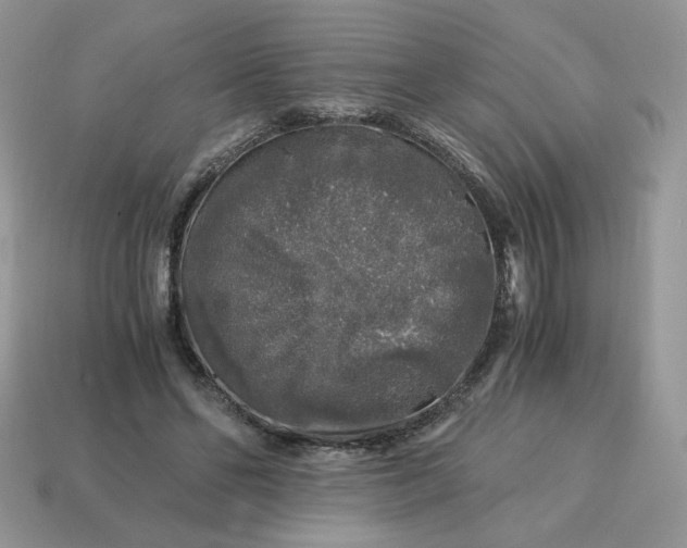 X0000115060494200911091449