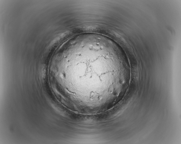 X0000115060495200911091449