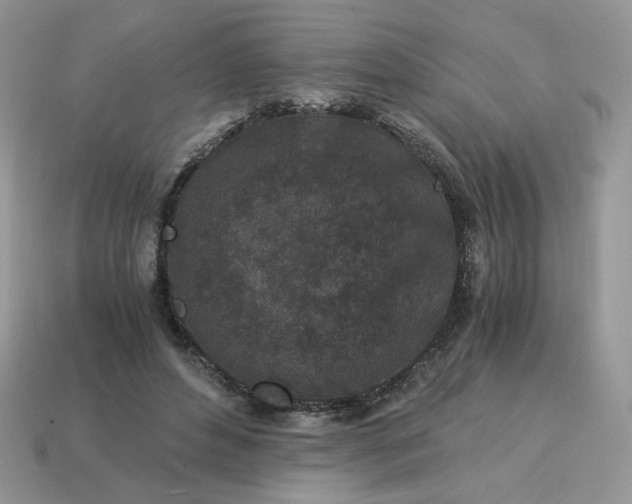 X0000115060496200911091449