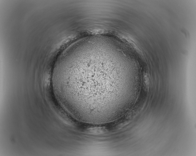 X0000115060499200911091449