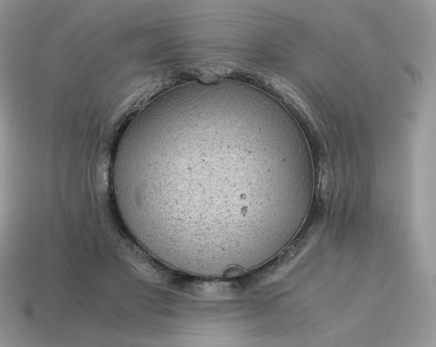 X0000115060501200911091449