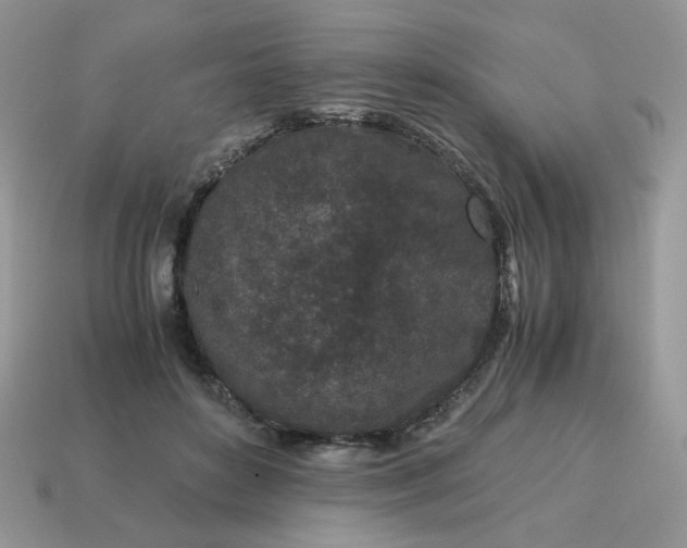 X0000115060504200911091449