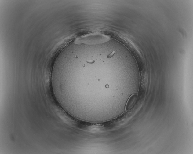 X0000115060505200911091449