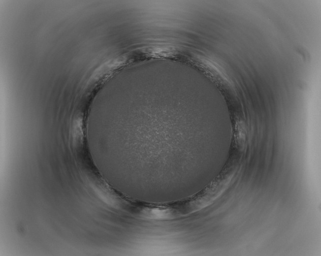 X0000115060506200911091449