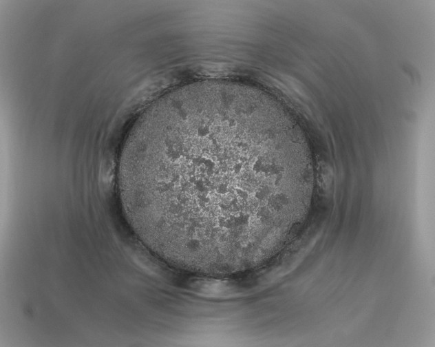 X0000115060507200911091449