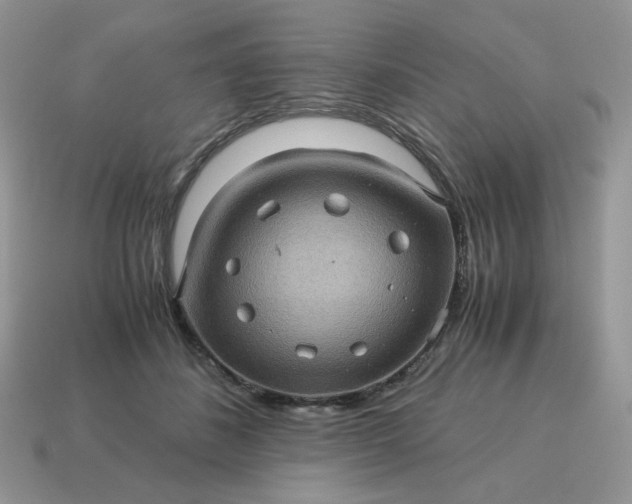 X0000115060508200911091449
