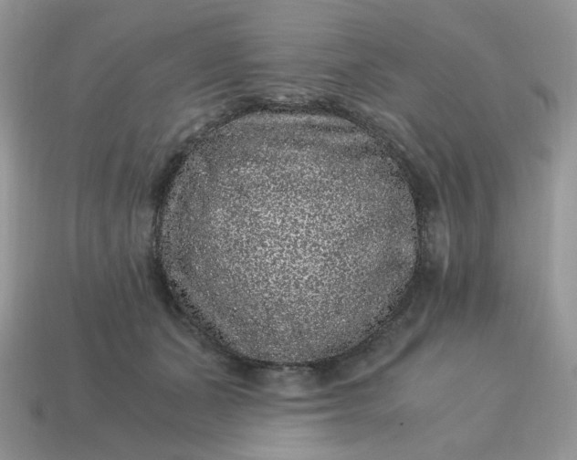 X0000115060511200911091449